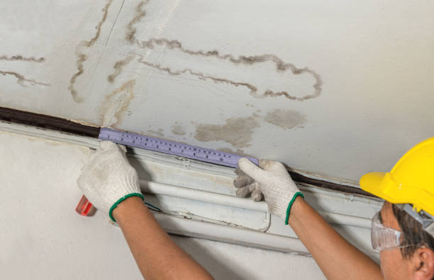 Reliable Mold Remediation contractor in Fulton, MI by Local Water Damage Repair